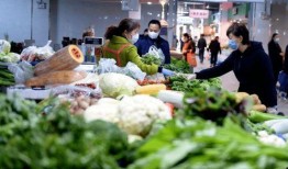 爆料江南买菜视频播放大全,趣味市井生活瞬间回顾